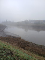 foto van de nete bedekt met mist