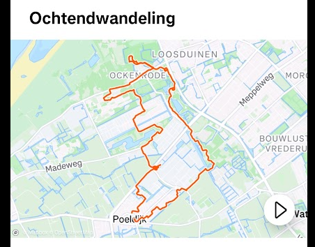 schermafbeelding van ochtendwandeling strava